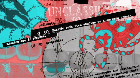 莱姆病是一种生化武器吗?”class=