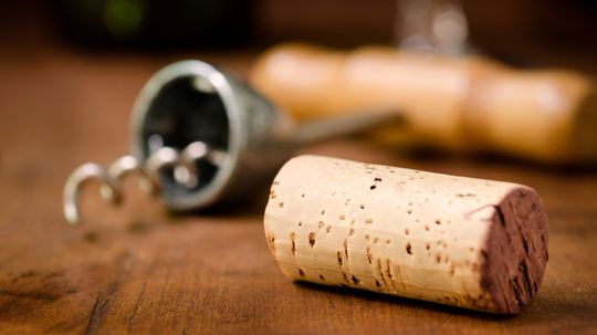 Where does cork come from?