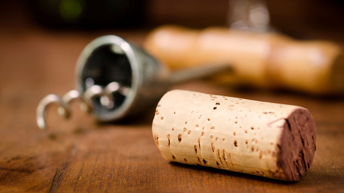 Where Does Cork Come From? – HowCork