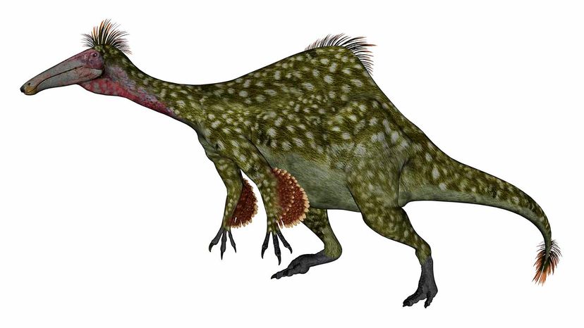 Deinocheirus”border=