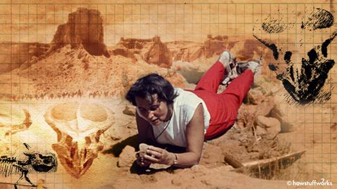 She's the Most Famous Paleobiologist You May Not Know - Vimarsana News