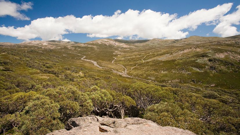 Mount Kosciuszko