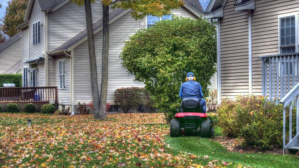 Mower that best sale picks up leaves