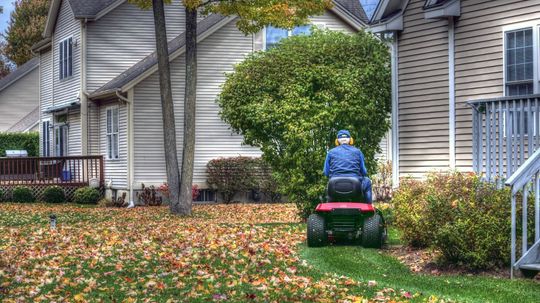 Why You Should Stop Raking Fall Leaves, Stat!