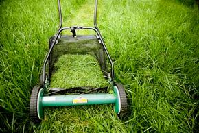 Image Gallery: Green Living Grass clippings account for up to 20 percent of household solid waste collections every year. See more green living pictures.
