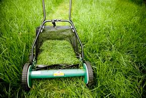 should you bag grass when mowing