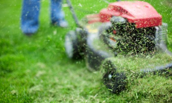 Mulch vs Bag Grass