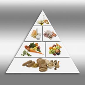 Food pyramid