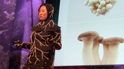 Mushroom Burial Suit Creates Life After Death - Vimarsana News