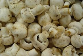 Mushrooms should be used right away, but they willkeep if you store them correctly.