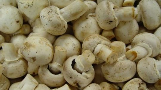 Mushrooms: Natural Weight-Loss Foods