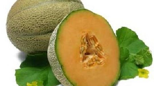 Muskmelon, Cantaloupe