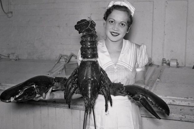 giant lobster