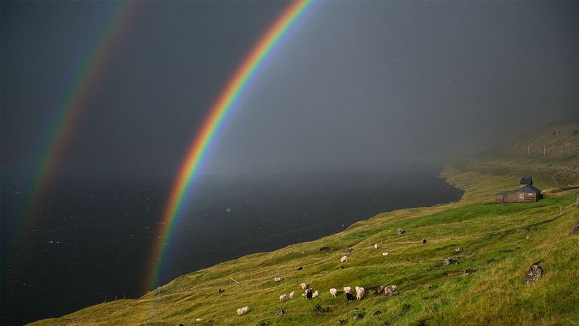 rainbow myths	