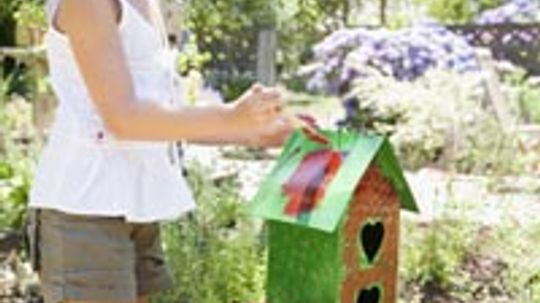 How to Make a Recycled Bird House