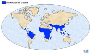 疟疾的地理分布”width=