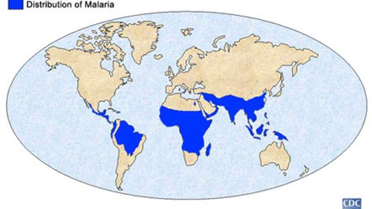 How to Prevent Malaria