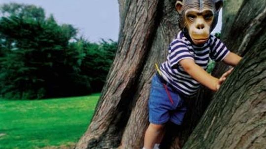 人类是由猿进化而来吗?”width=