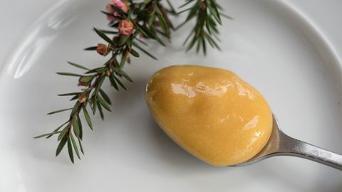 What's All the Buzz About Manuka Honey? - Vimarsana News