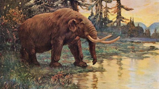 The Mastodon Boneyard That Stole Thomas Jefferson’s Heart