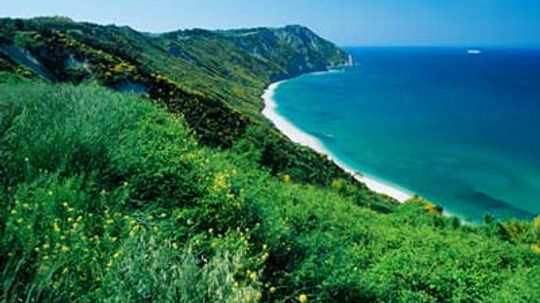 终极指南游行葡萄酒产区”width=