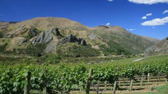 Ultimate Guide to the Marlborough Wine Region