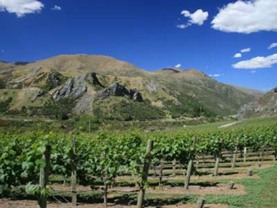 Ultimate Guide to the Marlborough Wine Region