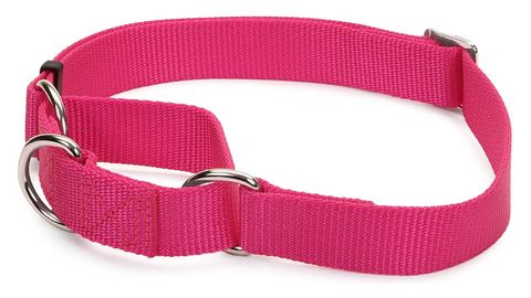 The Martingale Collar Is Man — and Dog's — Best Friend - Vimarsana News
