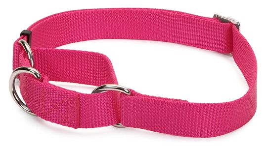 The Martingale Collar Is Man — and Dog's — Best Friend