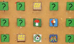 concentraition game with multiple cards turned face-up