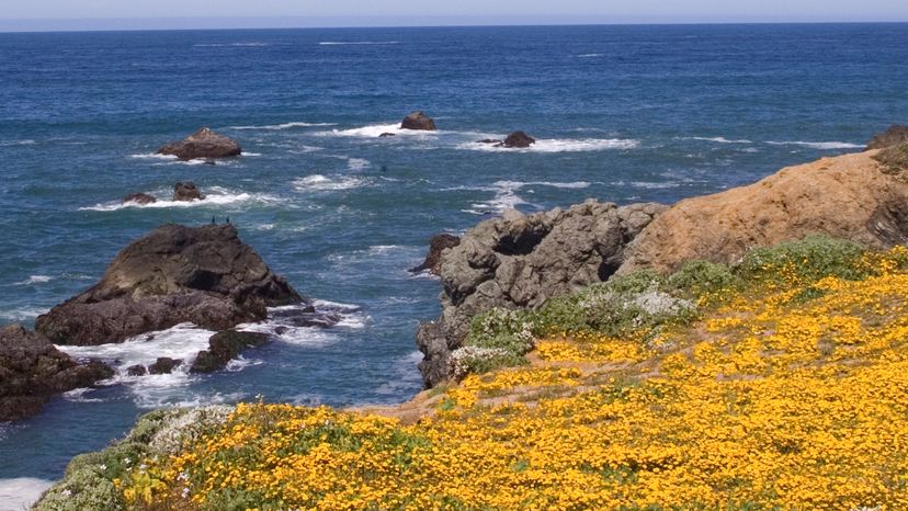 Mendocino Headlands State Park