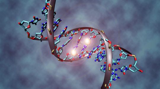 Epigenetics Explains Why Your DNA Doesn't Predict Your Destiny