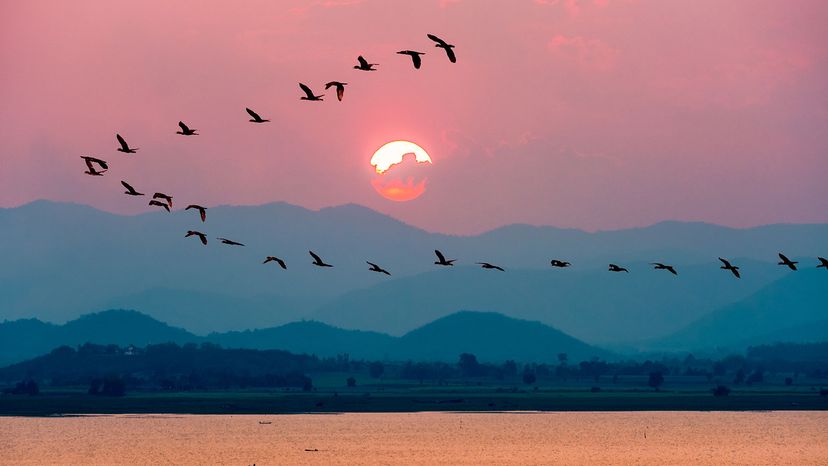 birds fly over the Krasiao Dam in Suphan Buri, Thailand