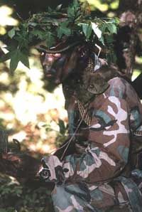 How Military Camouflage Works