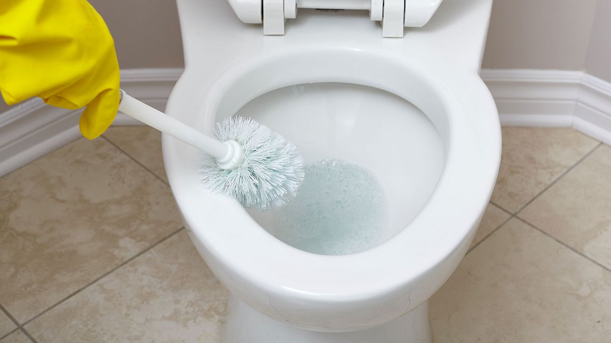 Cleaning supplies and toilet bowl in bathroom. Space for text