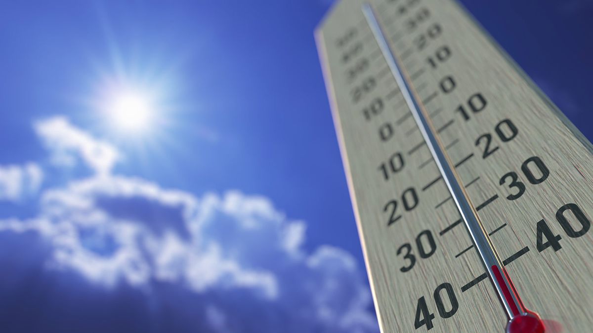 Fahrenheit and Celsius Thermometers. Temperature Spectrum Scale