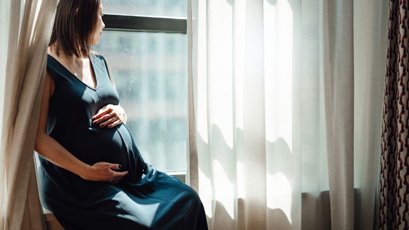 Pregnant Woman Gazing Out Window