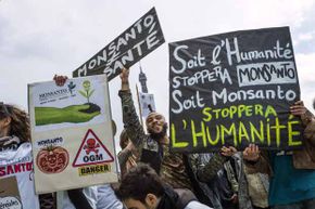 Anti-GMO activists gather on the Trocadero square near the Eiffel Tower, Paris, during a demonstration against Monsanto and GMOs, which they believe are toxic.