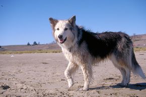 小姐是如此心爱的在生活中,她成为了死后的克隆工作的主题。看到更多的克隆的照片。”width=