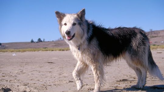 Missyplicity项目是什么?”width=