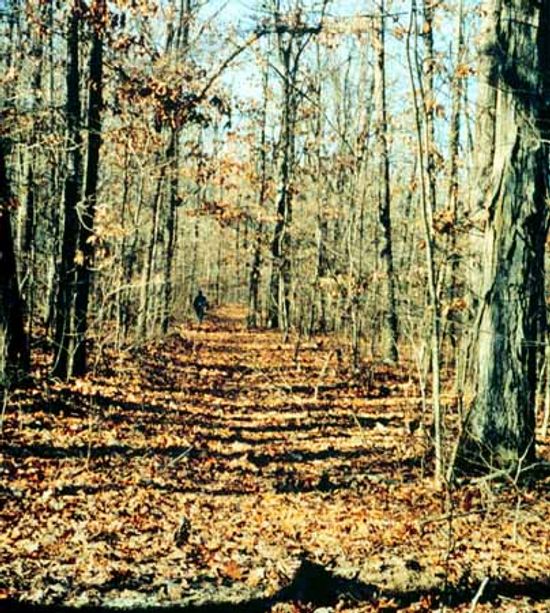 密苏里州风景优美的驱动器”class=