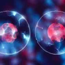 Meiosis vs. Mitosis: Unraveling Cell Division
