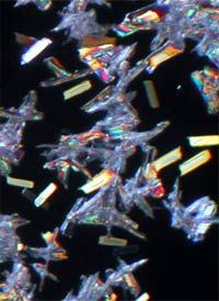 These microscopic crystals are the only &quot;ink&quot; that Zink paper needs.