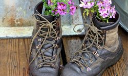 shabby chic boots