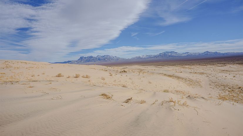 kelso sand dunes