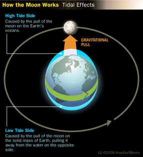 effects of moon on earth