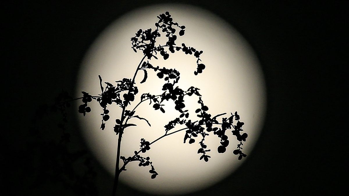Names and Dates of the 2023 Full Moons