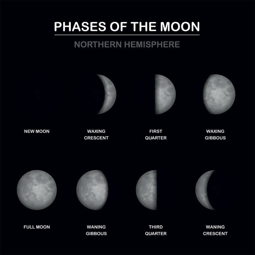 phases of lunar cycle
