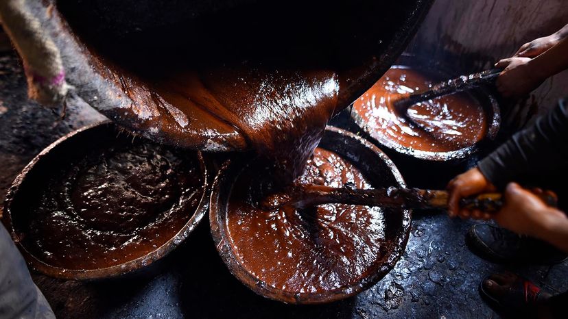 where does molasses come from