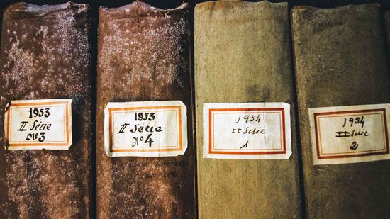 What's the Difference Between Mold and Mildew?